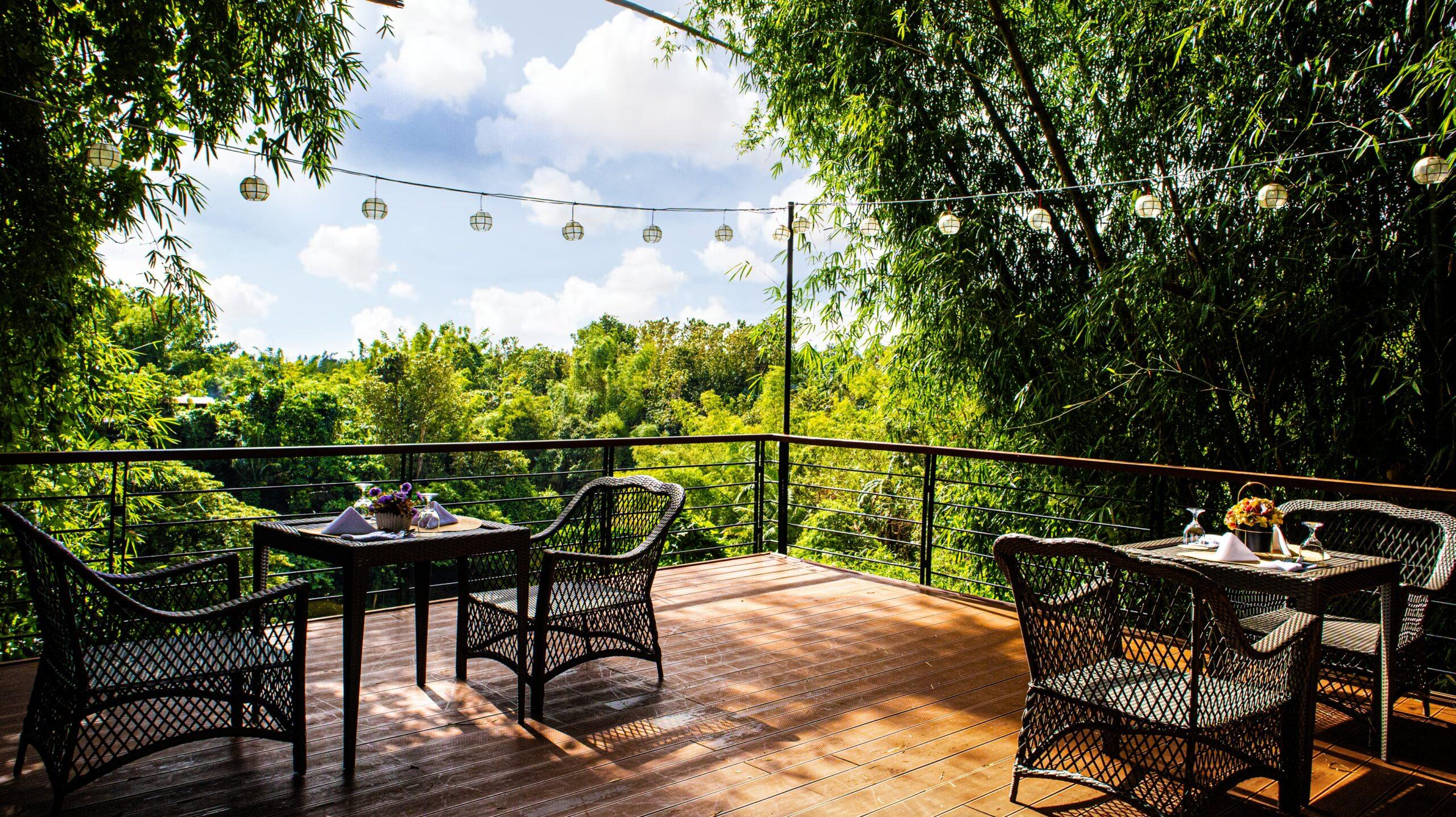 Five-Hectare Forest Sanctuary